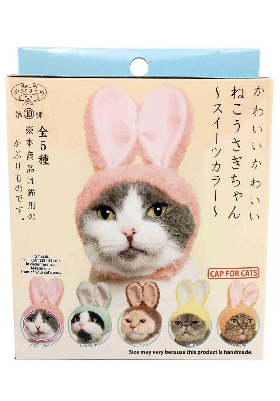 Surprise Box Clever Idiots | Rabbit Cat Cap Surprise Box